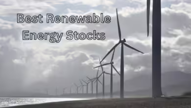 Best Renewable Energy Stocks