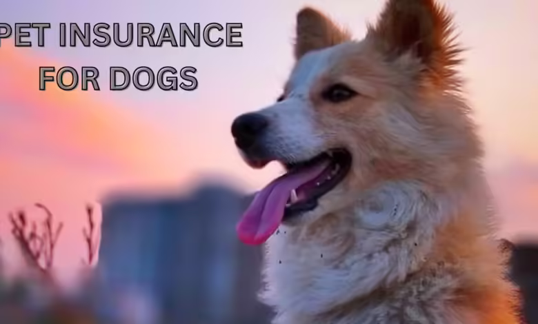 Pet insurance for dogs